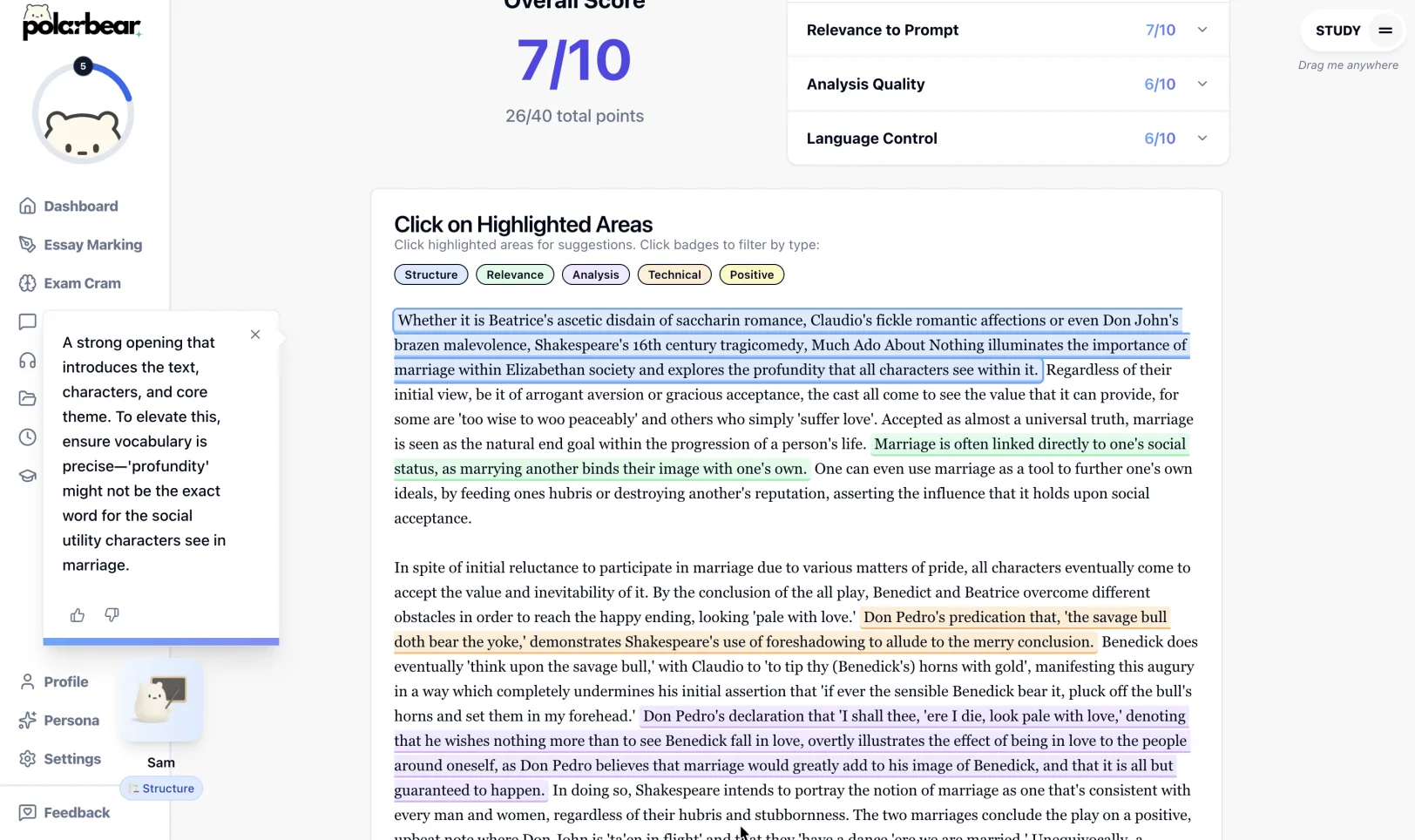 Polarbear essay feedback with criterion scores and highlighted suggestions